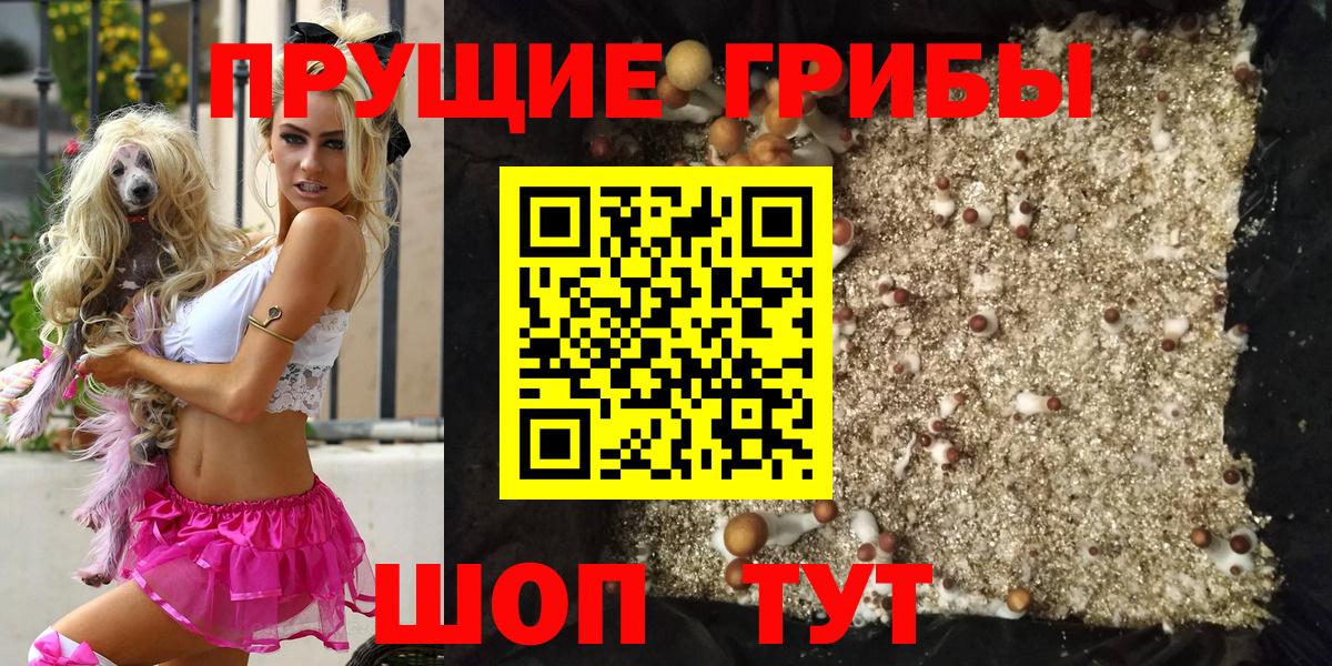 Галлюциногенные грибы Cubensis  Галлюциногенные грибы Cubensis  купить  сайты  Лениногорск  Вход с VPN 